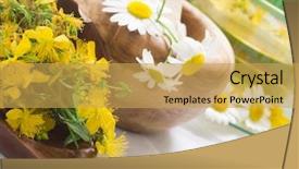  Presentation with chamomile - Amazing presentation theme having st john's wort tea backdrop and a  colored foreground