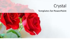  Presentation with light roses - Cool new theme with women's day 8 march backdrop and a white colored foreground