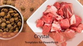  Presentation with dog food - Audience pleasing presentation theme consisting of dry dog'd food backdrop and a coral colored foreground