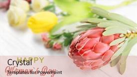  Presentation with celebration - Amazing PPT theme having text happy woman's day backdrop and a coral colored foreground