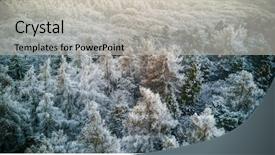  Presentation with winter storm - Theme enhanced with a bird's eye background and a light gray colored foreground