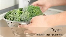  Presentation with hands holding a tree - Presentation theme having nourished - woman's hands holding broccoli sprouts background and a coral colored foreground