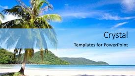  Presentation with palm beach - Cool new presentation theme with sunny beach with tropical palm backdrop and a light blue colored foreground