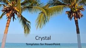  Presentation with beach palm tree wedding - Theme having sunny beach with tropical palm background and a  colored foreground