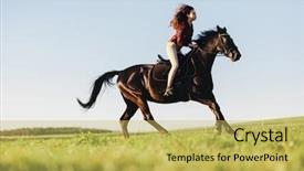  Presentation with outdoor activities - Theme consisting of a bay purebred horse background and a yellow colored foreground