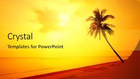  Presentation with palm tree - PPT theme with sunset clouds reflection flood - palm tree on a beach background and a white colored foreground