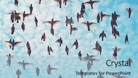  Presentation with migration - Audience pleasing slides consisting of a beautiful blue cloud backdrop and a light blue colored foreground