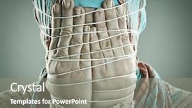  Presentation with arabic - Beautiful slides featuring human rights violations - portrait of a beautiful muslim backdrop and a gray colored foreground