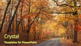  Presentation with forest road - Audience pleasing PPT theme consisting of a beautiful temperate forest backdrop and a tawny brown colored foreground