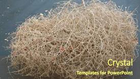  Presentation with black road - PPT theme having a black top road background and a tawny brown colored foreground