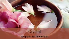  Presentation with pink rose petals - PPT theme having a bowl of water background and a red colored foreground