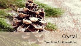  Presentation with pine cone - PPT theme enhanced with a branch of pine background and a soft green colored foreground
