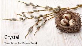  Presentation with quail - Amazing theme having a branches of pussy backdrop and a sky blue colored foreground