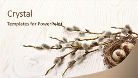  Presentation with quail - Cool new PPT theme with a branches of pussy backdrop and a cream colored foreground