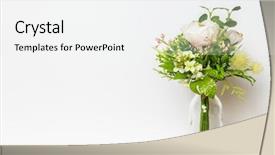  Presentation with bunch - Presentation consisting of a bunch of artificial background and a white colored foreground