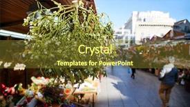  Presentation with christmas sale - PPT layouts featuring a bunch of mistletoe background and a tawny brown colored foreground