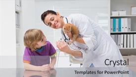  Presentation with injection - Theme featuring a cat with its background and a  colored foreground