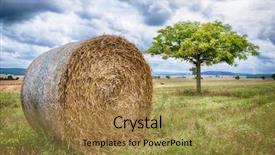  Presentation with food supply - Colorful PPT theme enhanced with a clouded sky grassland backdrop and a coral colored foreground