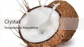  Presentation with milk splash - Colorful presentation design enhanced with close-up of a coconuts with milk splash isolated on white background backdrop and a light gray colored foreground