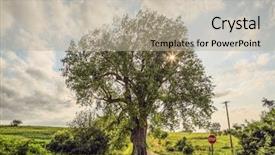  Presentation with road intersection - Audience pleasing PPT layouts consisting of a country road intersection backdrop and a mint green colored foreground