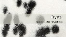  Presentation with puppy - Amazing slides having a dalmatian puppy fur backdrop and a light gray colored foreground