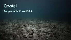  Presentation with sea coral - Amazing presentation having a dead sea bottom backdrop and a tawny brown colored foreground