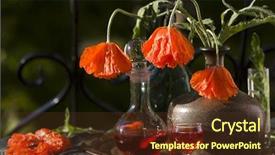  Presentation with liqueur - Colorful slides enhanced with a decanter with liqueur backdrop and a  colored foreground