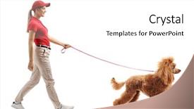  Presentation with poodle - Presentation theme with a female dog walker background and a white colored foreground