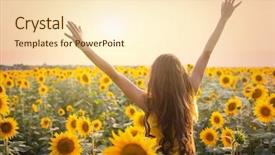  Presentation with sunflower sunflower sunflower sunflower sunflower - Slide deck having a field of sunflower background and a cream colored foreground