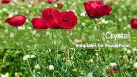  Presentation with rural tourism concept - Presentation consisting of a fine spring day background and a  colored foreground