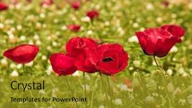  Presentation with rural tourism - Presentation with a fine spring day background and a gold colored foreground