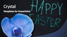  Presentation with stop violence against black women - Colorful PPT theme enhanced with a flower against black backdrop and a black colored foreground