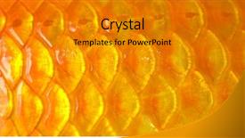  Presentation with fish scales - Beautiful PPT theme featuring a golden fish scales backdrop and a gold colored foreground