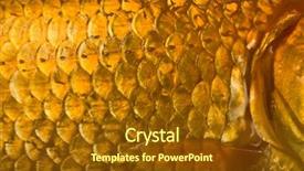  Presentation with fish scales - Colorful presentation theme enhanced with a golden fish scales backdrop and a tawny brown colored foreground