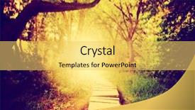  Presentation with enchanted - Slides enhanced with a green lush forest background and a yellow colored foreground