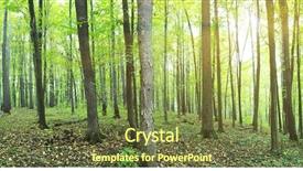  Presentation with summer - Cool new slide deck with a green summer forest backdrop and a tawny brown colored foreground