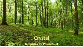  Presentation with summer - Cool new presentation theme with a green summer forest backdrop and a tawny brown colored foreground