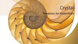  Presentation with shell - Amazing theme having a halved backlit shell backdrop and a yellow colored foreground