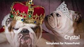  Presentation with royal - Audience pleasing slides consisting of a king and queen backdrop and a violet colored foreground