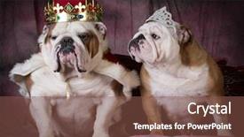  Presentation with royal - PPT theme enhanced with a king and queen background and a tawny brown colored foreground