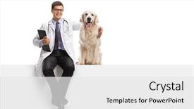  Presentation with therapy dog person of color - PPT layouts featuring a labrador retriever dog background and a white colored foreground