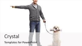  Presentation with newspaper - Slide deck with a labrador retriever dog background and a  colored foreground