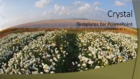  Presentation with old photographs black and white - Amazing slide deck having a lens fish eye backdrop and a  colored foreground