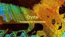  Presentation with moth - Cool new slides with a madagascan sunset moth backdrop and a tawny brown colored foreground