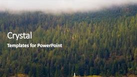  Presentation with forest morning - Audience pleasing presentation design consisting of a misty morning taken backdrop and a dark gray colored foreground