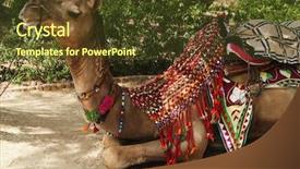  Presentation with new delhi - PPT layouts having a park new delhi background and a tawny brown colored foreground