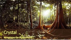  Presentation with krabi - PPT theme having a peat swamp forest background and a tawny brown colored foreground