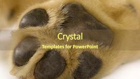  Presentation with puppy - Amazing PPT theme having a puppy labrador paw backdrop and a tawny brown colored foreground