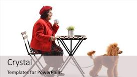  Presentation with poodle - Beautiful theme featuring a red poodle dog backdrop and a light gray colored foreground