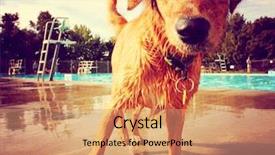  Presentation with vintage retro - Slides featuring a retro vintage instagram background and a coral colored foreground